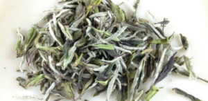 foglie di tè bianco